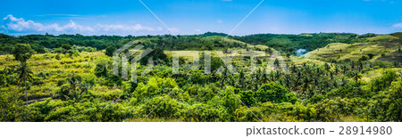 Fresh Yellow coloured Hills with some Jungle Fresh Yellow coloured Hills with some Jungle 28914980