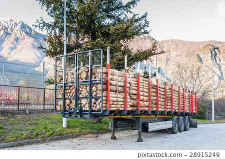 Trucks charged with wood logs waiting for delivery Trucks charged with wood logs waiting for delivery 28915249