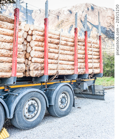 Trucks charged with wood logs waiting for delivery Trucks charged with wood logs waiting for delivery 28915250
