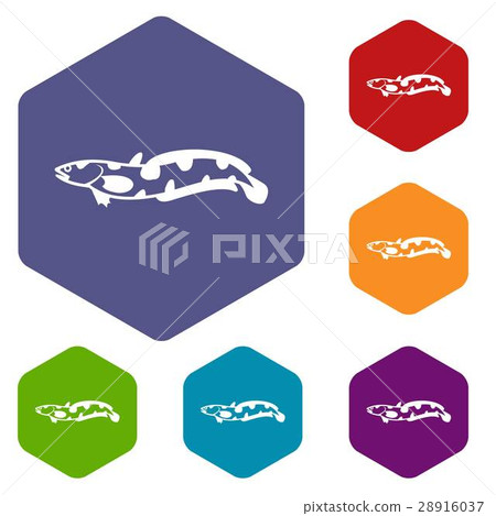 Anarhichas fish icons set 28916037