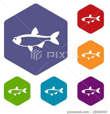 Rudd fish icons set Rudd fish icons set 28916047