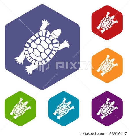 Turtle icons set Turtle icons set 28916447