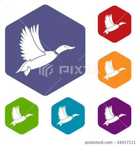 Duck icons set Duck icons set 28917131