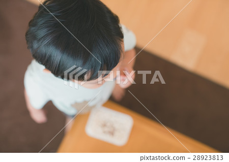 younger, 2-3 Years, three years old 28923813