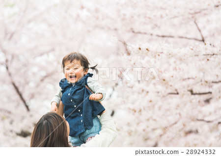 Happy parent and child cherry blossoms 28924332
