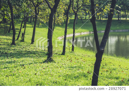 green park, fresh ozone nature space. 28927071