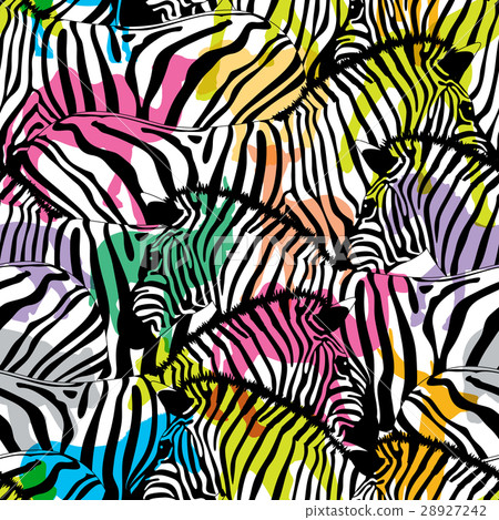 Zebra with colorful silhouette wildlife animals. Zebra with colorful silhouette wildlife animals. 28927242