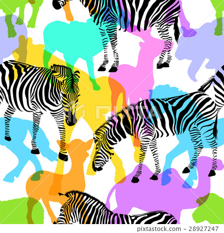 Zebra with colorful silhouette wildlife animals. Zebra with colorful silhouette wildlife animals. 28927247