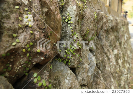 Stone wall material Old masonry Stone wall material Old masonry 28927863