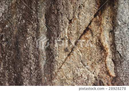 Rough rough skin Rough rough skin 28928278