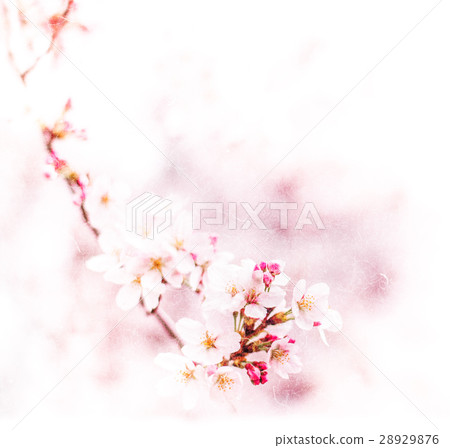 激安正規品 background style [Japanese Sakura series] Stock - 絵画