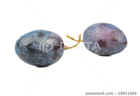 Berries blue grapes Berries blue grapes 28931004