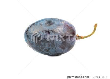 Berry blue grapes Berry blue grapes 28931005
