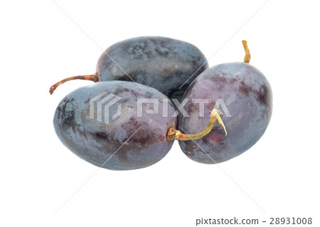 Three berries of grapes 28931008