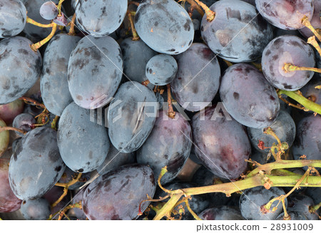 Background of blue grapes 28931009