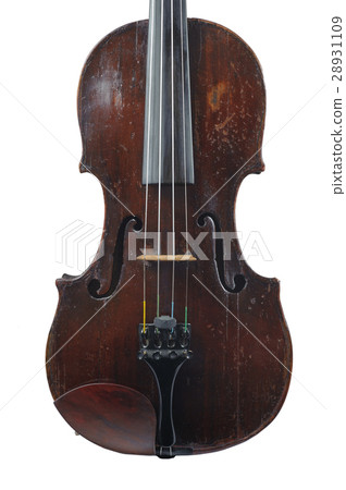 a violin image on the white background 28931109