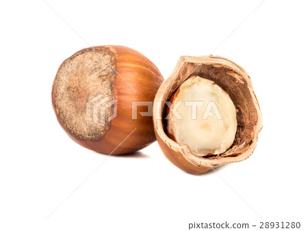 Hazelnut in shell and half 28931280