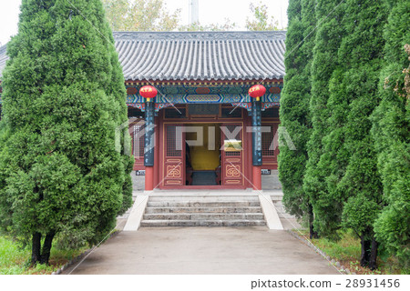 趙雲林中國·河北省正道縣 28931456