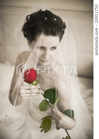 fiancee fiancee 28931750
