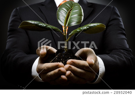 sprout 28932040