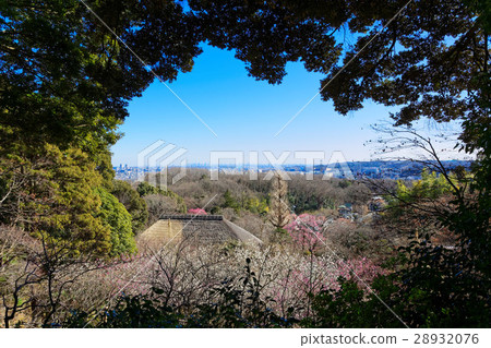 Umebayashi和寶珠的城市景觀 28932076