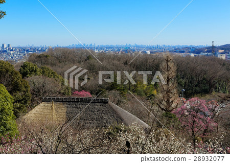 Umebayashi and urban landscape of Baozhuen Umebayashi and urban landscape of Baozhuen 28932077