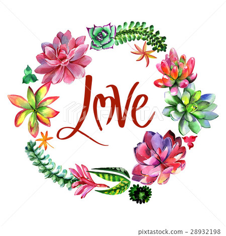 Wildflower succulentus flower frame in a Wildflower succulentus flower frame in a 28932198