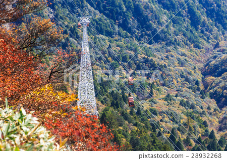 Autumn leaves of Omikadake Autumn leaves of Omikadake 28932268