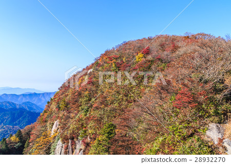 Autumn leaves of Omikadake Autumn leaves of Omikadake 28932270
