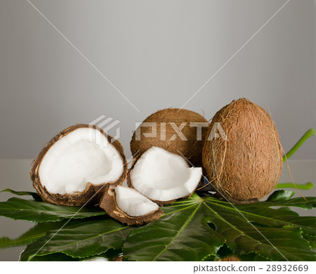coconut 28932669