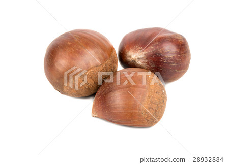 Three edible chestnuts 28932884