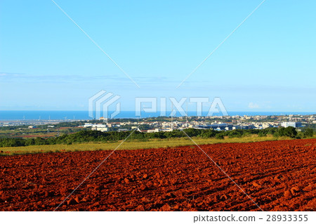 紅土與海岸線 紅土與海岸線 28933355