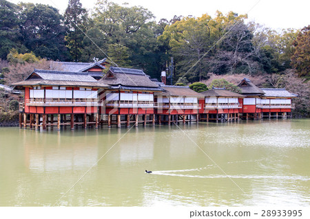 Nagaoka Tenman-gu 28933995