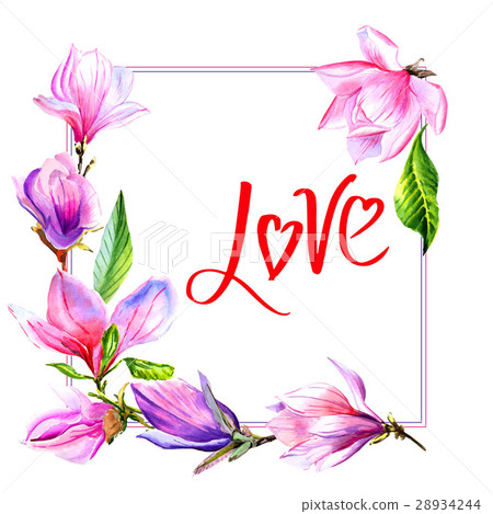 Wildflower magnolia flower frame in a watercolor Wildflower magnolia flower frame in a watercolor 28934244