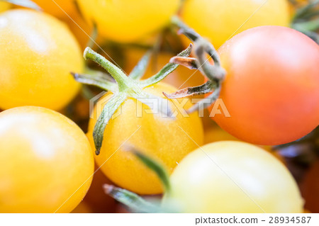 Little tomatoes yellow and red color close up and Little tomatoes yellow and red color close up and 28934587