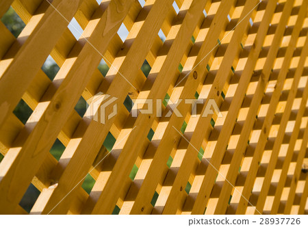 Wooden trellis in sunlight 28937726