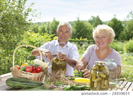 Pickling Pickling 28939655