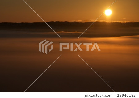 Sunrise 28940182