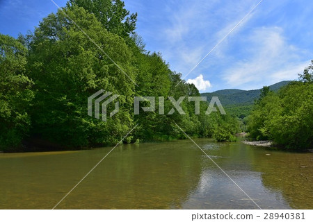 Spring landscape 28940381