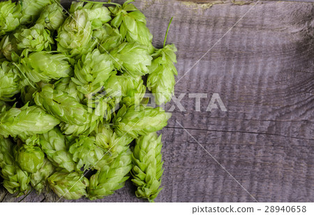 Fresh green hops on a wooden table Fresh green hops on a wooden table 28940658