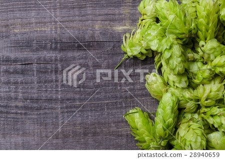 Fresh green hops on a wooden table Fresh green hops on a wooden table 28940659