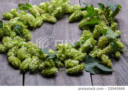 Fresh green hops on a wooden table 28940666