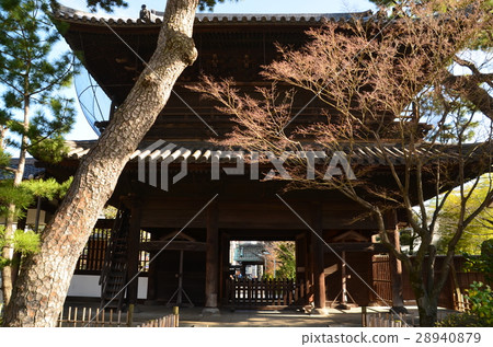 泉岳寺 泉岳寺 28940879