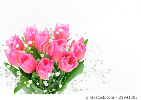 桃紅色鬱金香和被弄髒的草 28941385