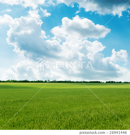 agricultural green field and cloudy sky agricultural green field and cloudy sky 28941446