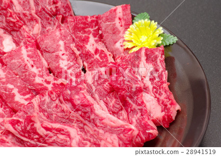短肋 短肋 28941519