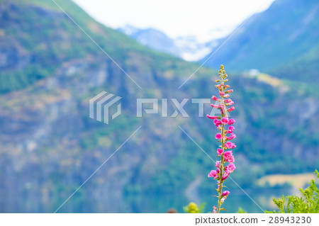 Mountains landscape in the summer. 28943230