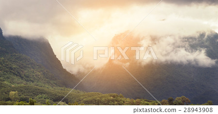 Sunset mountain with the fog at Chiangrai. 28943908