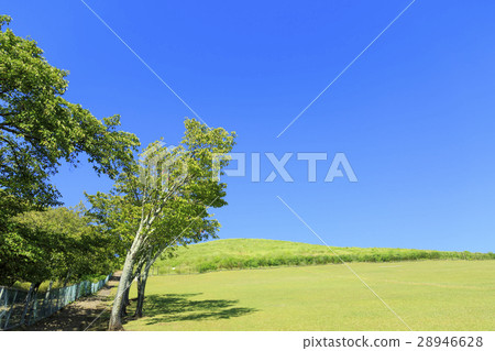 Wakakusayama Nara Prefecture 28946628