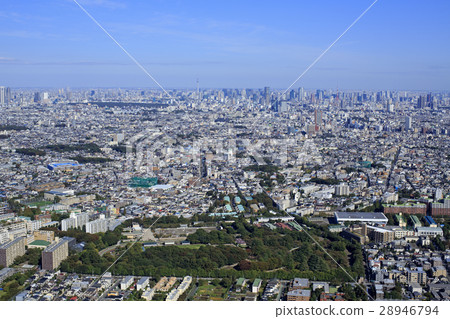 Horse Park / Aerial view 28946794